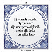 Humor Nl GIF by Tegelspreuken.nl