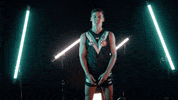 Afl Thumbs Up GIF by Port Adelaide FC