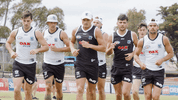GIF by Port Adelaide FC