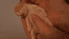 Rub GIF