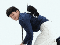 Napkimi noah schnapp foah noah schnapp cute stranger things kitten interview GIF