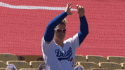 Regular Season Sport GIF by MLB