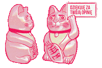 Cat Kot Sticker by Outriders