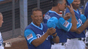 roberts GIF by MLB