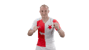 Football Celebration Sticker by SK Slavia Praha