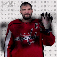 Washington Capitals Hockey GIF by Capitals