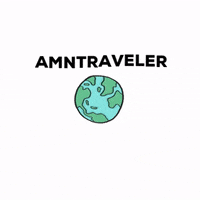 amntraveler amn amntraveler americanmobile GIF