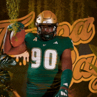 College Football GIF by USF Athletics
