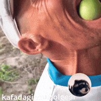Meyve Huseyin GIF