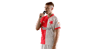Football Soccer Sticker by SK Slavia Praha