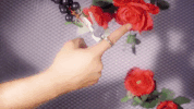 video art GIF by Zita Nagy