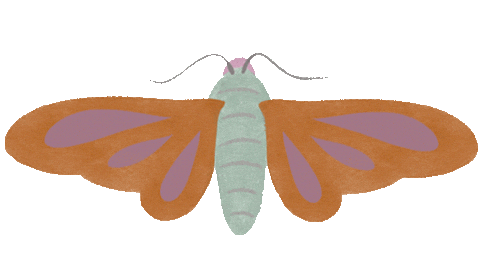 Moth Sticker by BeWILDerwood