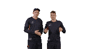 De Groot Teamnl Sticker by Nevobo