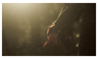 Tiw GIF by Though I Walk