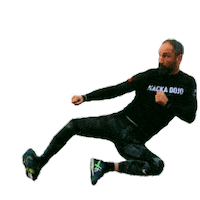 Spark Traning Sticker by Paolo Roberto