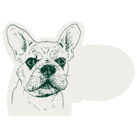 Happy Hour Cheers Sticker by Phil's Oyster Bar