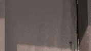 Door Hello GIF by Habitat