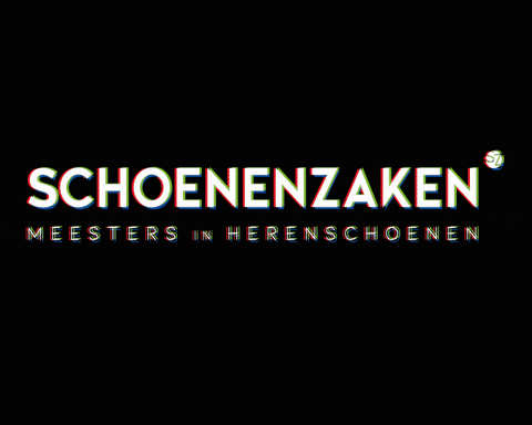 Glitch Groningen GIF by SchoenenZaken