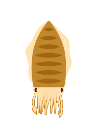 Marine Life Ocean Sticker by American Museum of Natural History