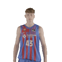 Fc Barcelona Basketball Sticker by ACB