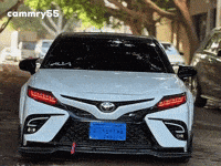 Camry GIF
