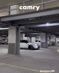 Camry GIF