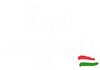 Sport Magyargif Sticker