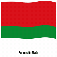 Castilla Y Leon Flag GIF by Formación Ninja