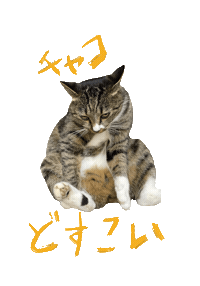チャコ Sticker