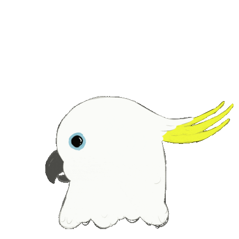 faiqseptyand animal bird pet cockatoo Sticker