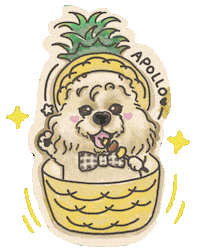 Pineapple Apollo Sticker