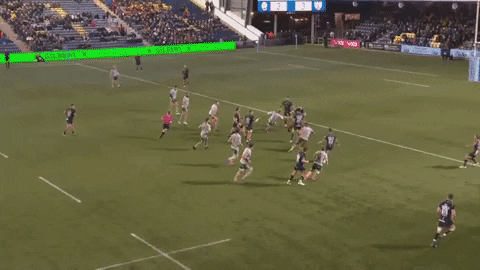 rugby_vids giphyupload GIF