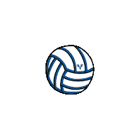 Sport Party Sticker by volksbank