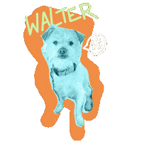 Dog Sticker