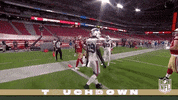 Regular Season Football GIF by NFL