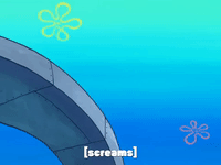 season 8 episode 25 GIF by SpongeBob SquarePants