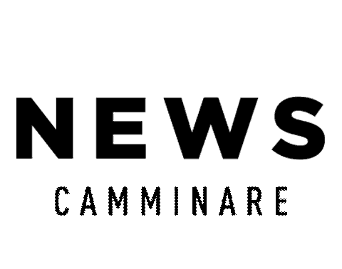 News Trend Sticker by Camminare Calçados