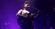 lianne la havas GIF by Webster Hall