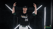 Billy Price Tulane GIF by GreenWave