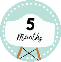 Littleannie Fivemonths Sticker by Popinphotos
