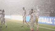 Soccer Celebrate GIF by Oakland Roots SC