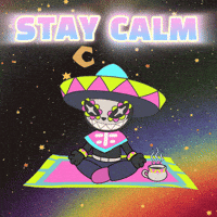 Cat Stay Calm GIF by Party Icons