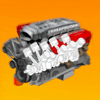 Racing Race GIF by kneapolitan