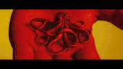 GIF by Sony Music Colombia