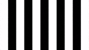 Happy Dance GIF by SK Sturm Graz