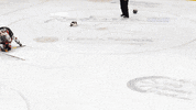 Ice Hockey Goalie GIF by Cardiff Fire
