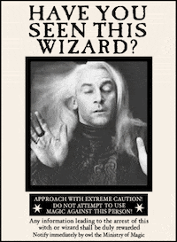 Dark Wizard Witch GIF