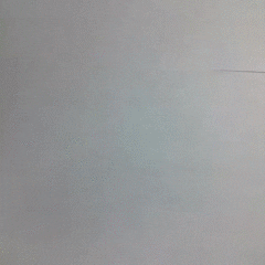 animation art GIF by Evan Hilton