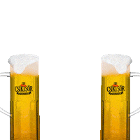 Beer Chips Sticker by Tiltott Csíki Sör