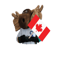 Renison Uc Sticker by Renison University College